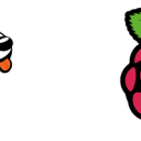 Raspberry Pi and Beaglebone