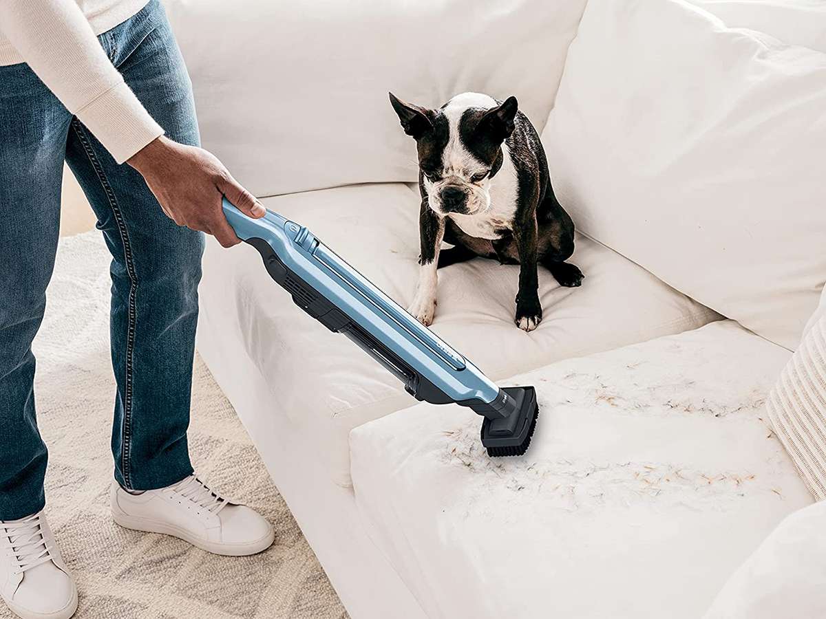 Best Hand Vacuum for Pet Hair